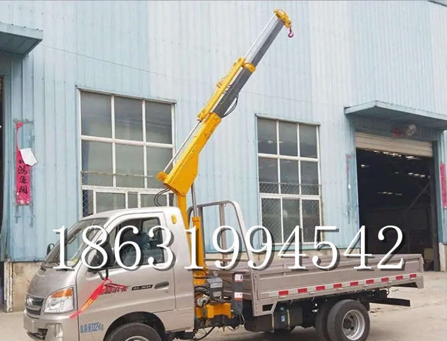 阿拉山口市车载吊机那里有车载吊机旋转船用小型搬运电动葫芦